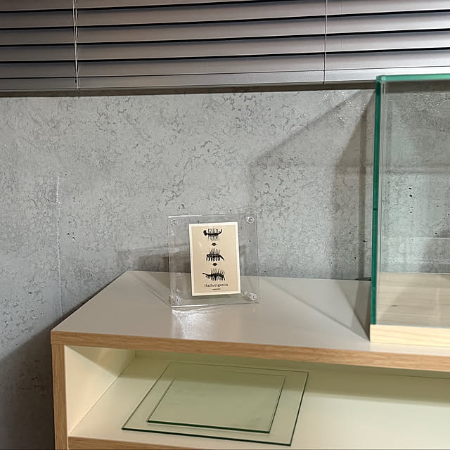 you8ishiさんの実例写真