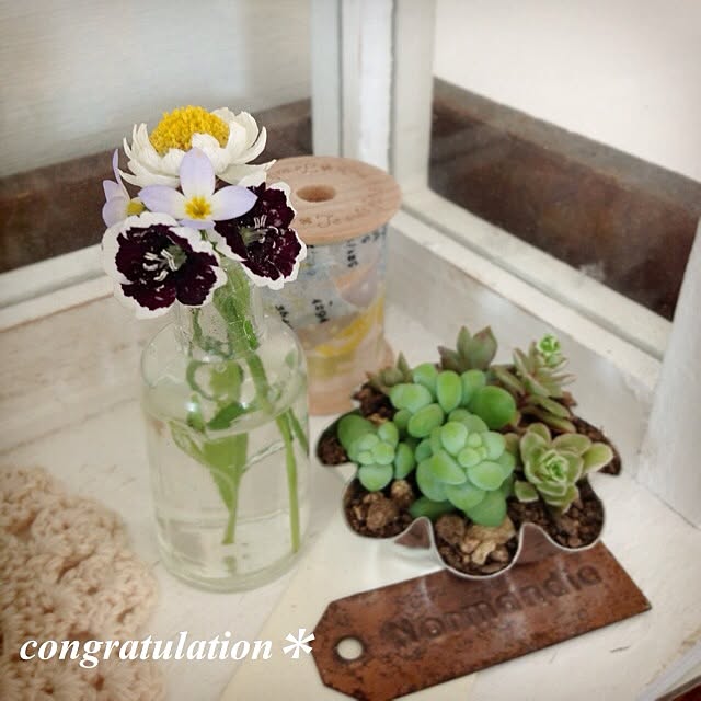 Nanaさんの実例写真