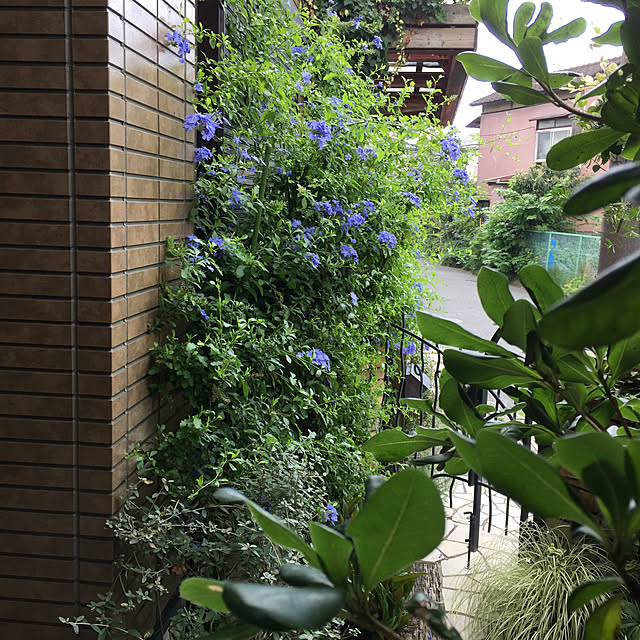 tomoさんの実例写真