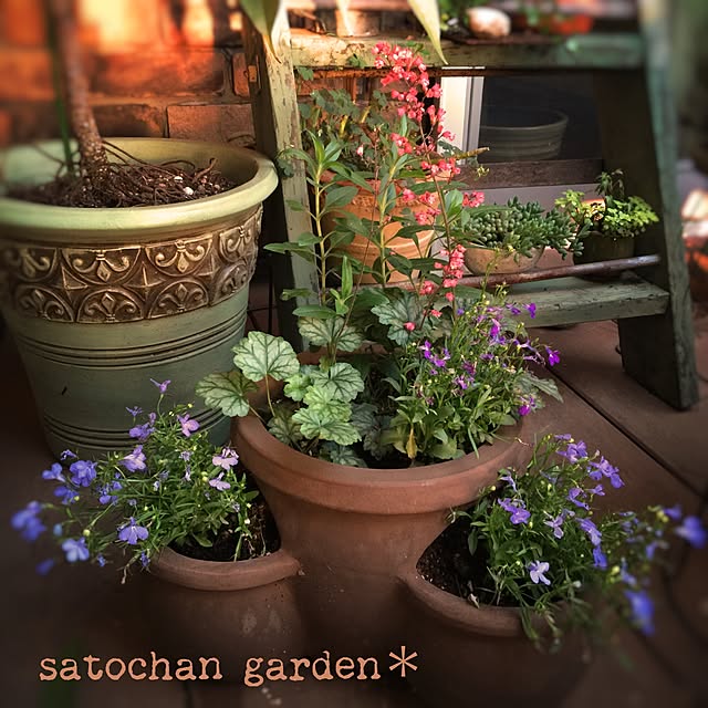 satochanさんの実例写真