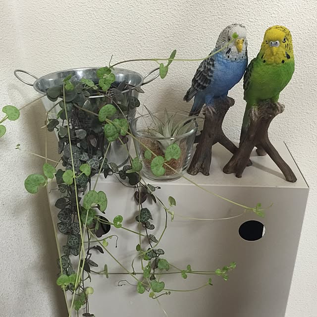 sakulaさんの実例写真