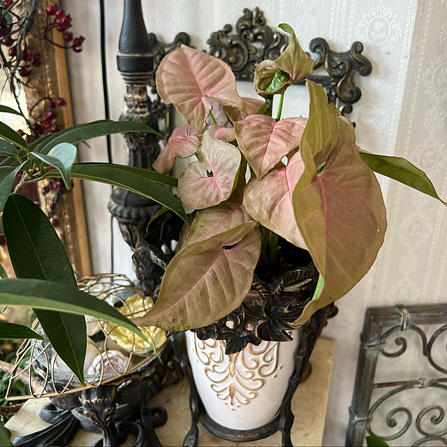 AYUKOさんの実例写真