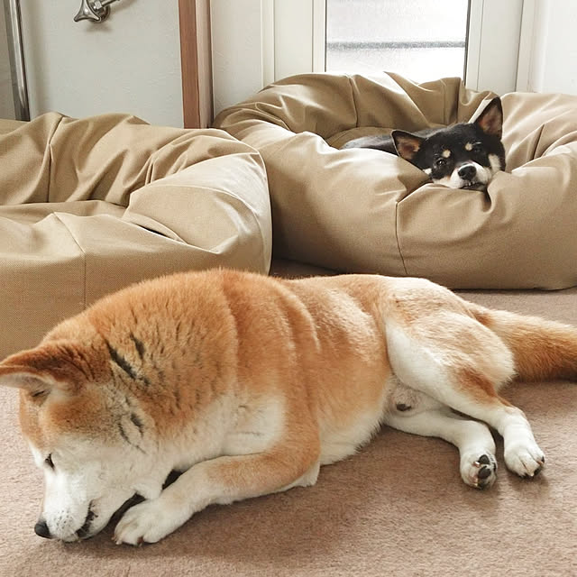 ponhanaさんの実例写真
