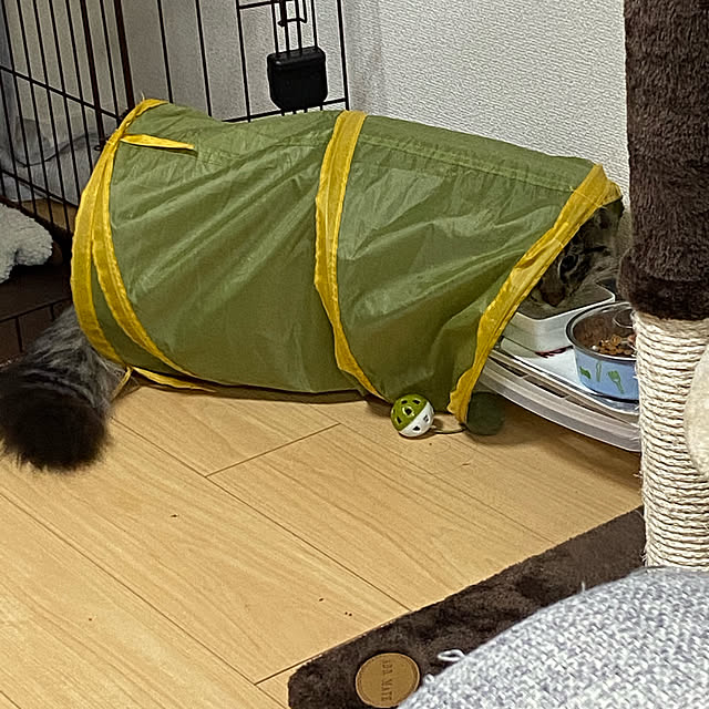 sh.0514さんの実例写真