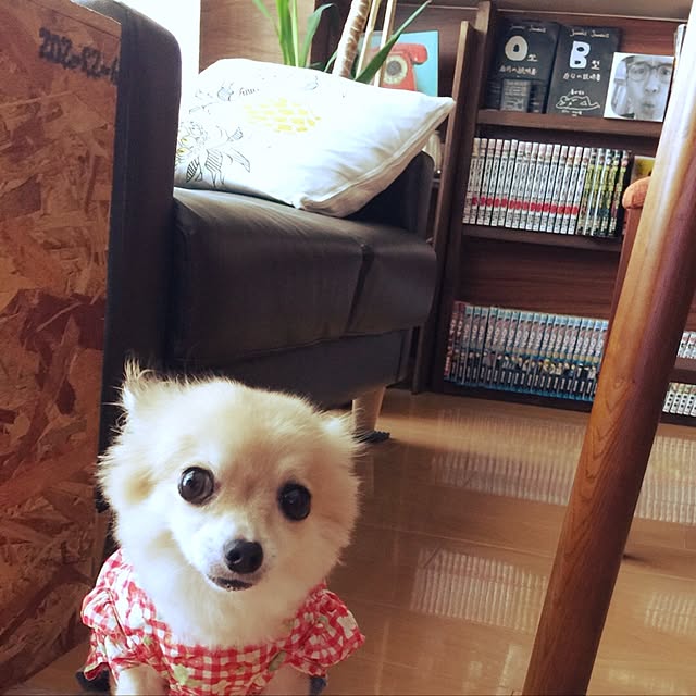 mikuさんの実例写真