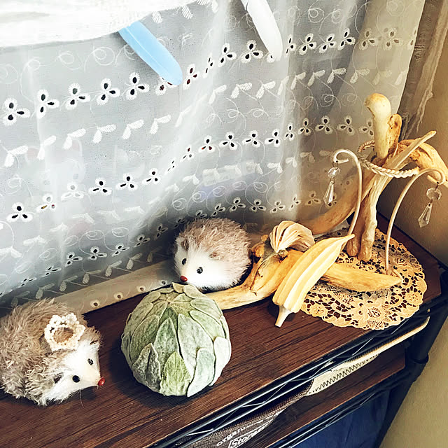 portulacaさんの実例写真