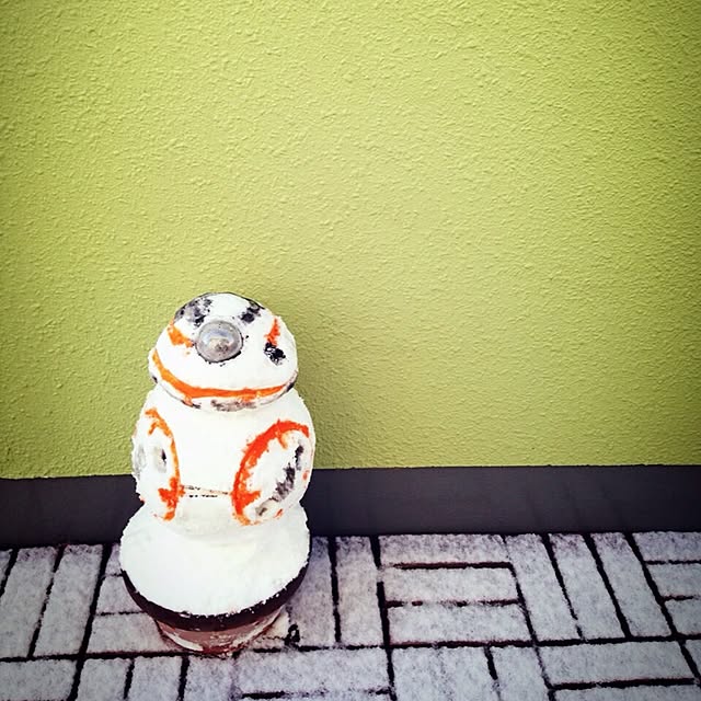 Kamuさんの実例写真