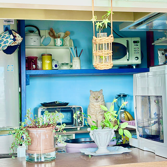 naokoさんの実例写真