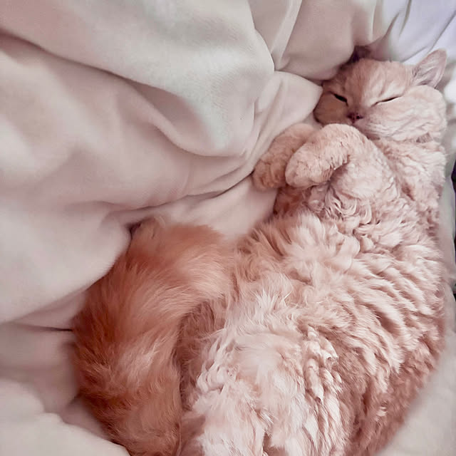 naokoさんの部屋