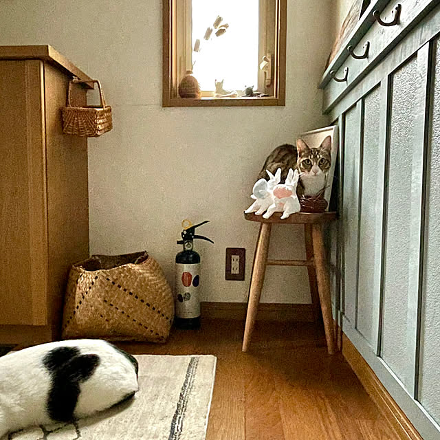 nobikoさんの部屋