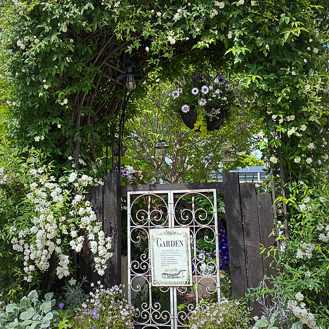 soraさんの実例写真