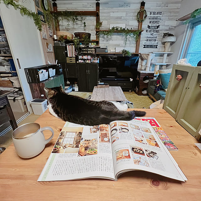 sumoanzuさんの部屋