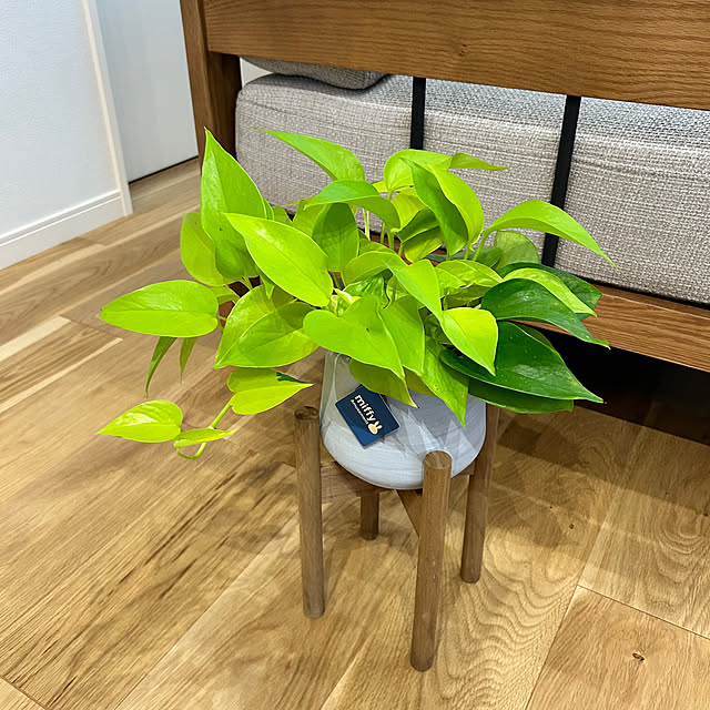 miffy.0044さんの部屋