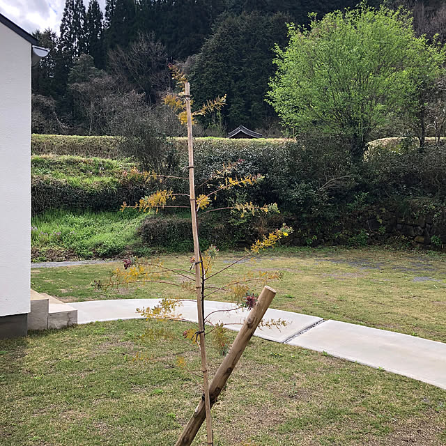yasaigohanさんの部屋