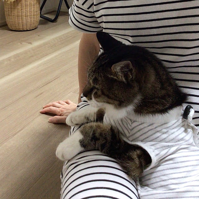 houenさんの部屋
