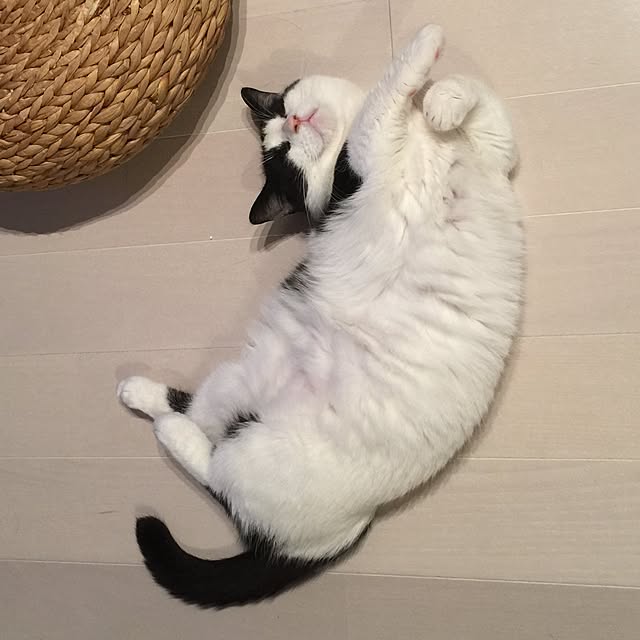 neuruさんの実例写真