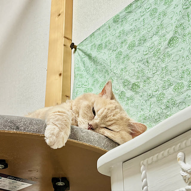 naokoさんの部屋