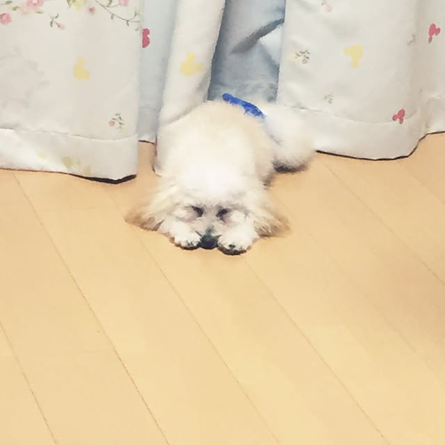 Masamiさんの実例写真