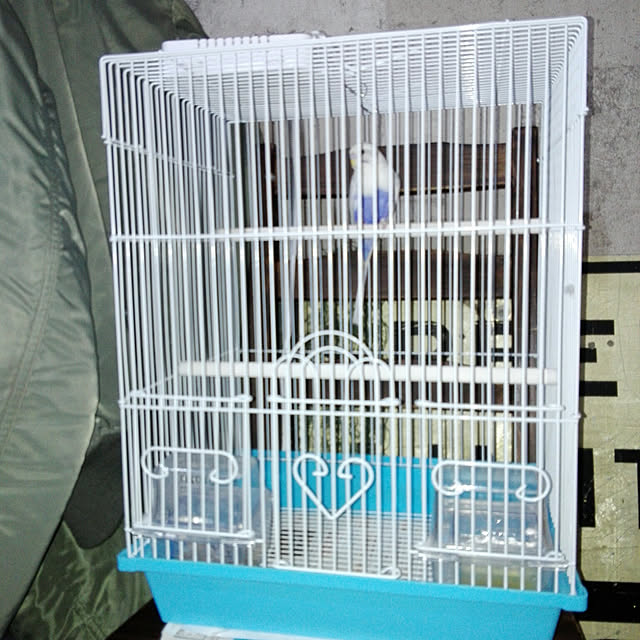 tama0330さんの実例写真