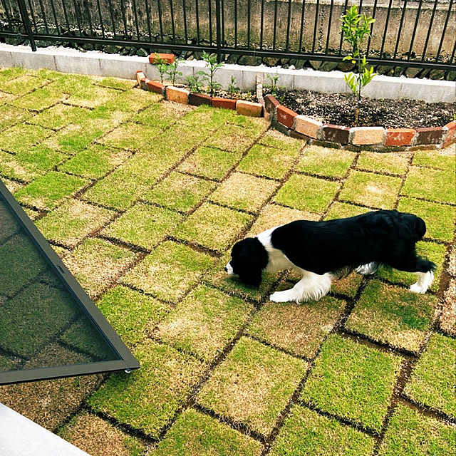 yuki_さんの実例写真