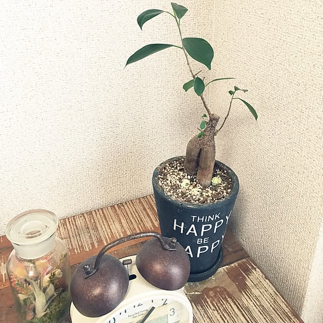 naoさんの実例写真