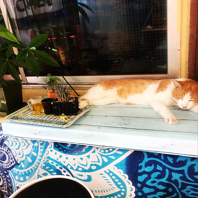 happyさんの実例写真