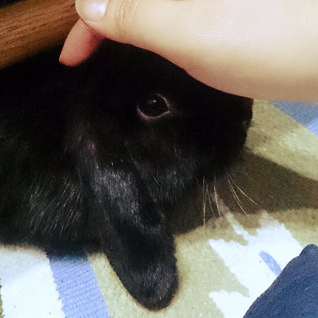 kosumoさんの実例写真