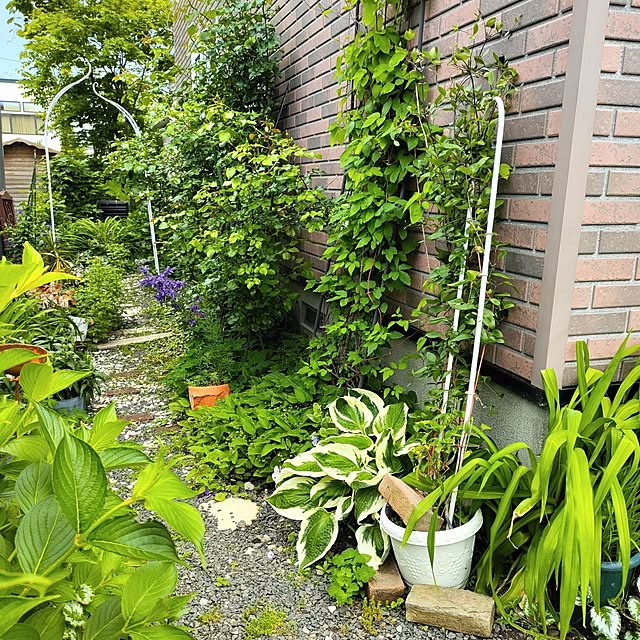 kiraさんの部屋