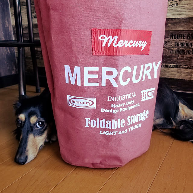 momozouさんの実例写真