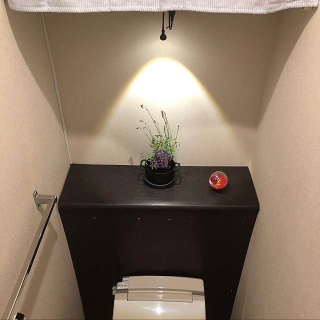 DIY/矢崎イレクター/IKEA/観葉植物/照明...などのインテリア実例 - 2020-05-24 23:25:05