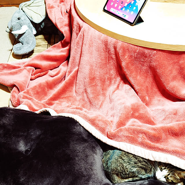 kikuさんの実例写真