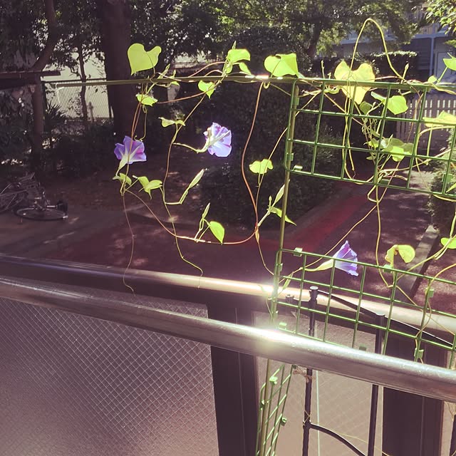 emichanbooさんの実例写真