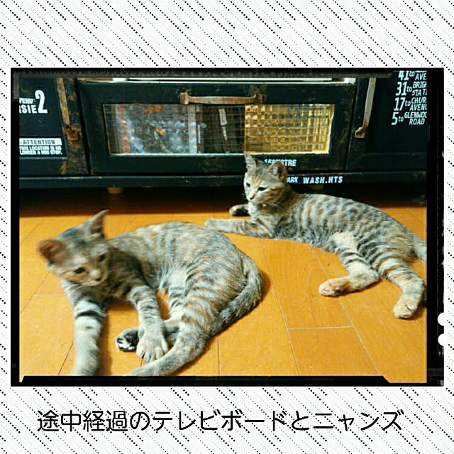 genさんの実例写真