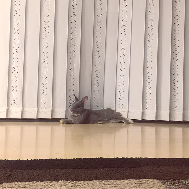 kei_sさんの実例写真