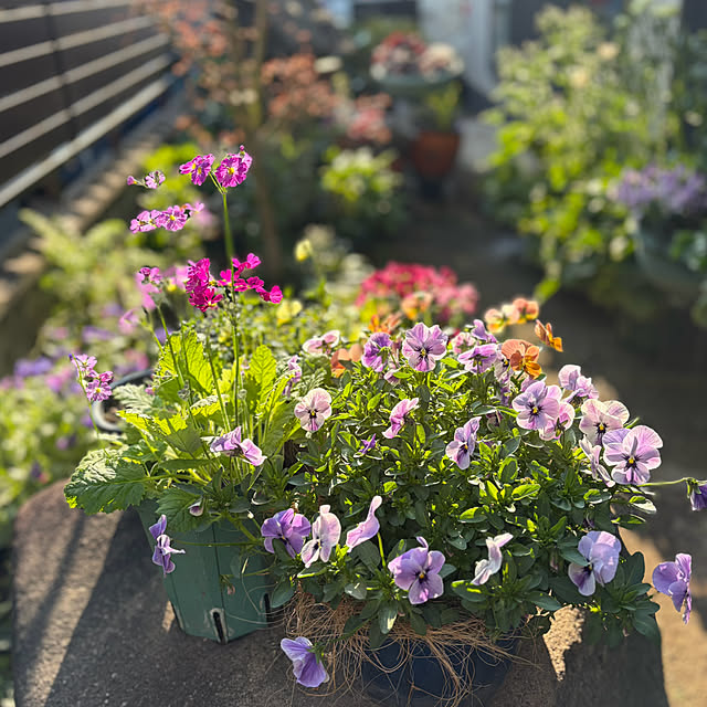 buchiさんの部屋