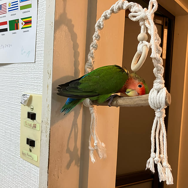 t.and.sakuraさんの実例写真