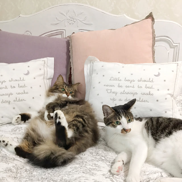yuchiさんの実例写真