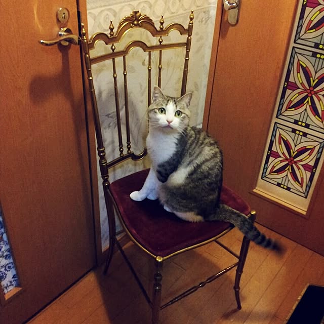 emmyyさんの実例写真