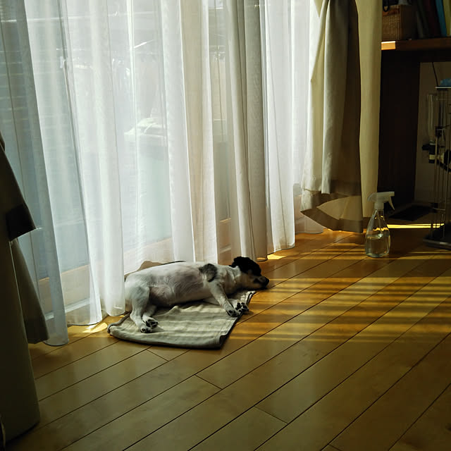 yukkoさんの実例写真