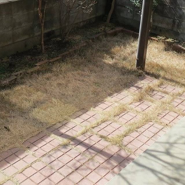 Kimikoさんの実例写真