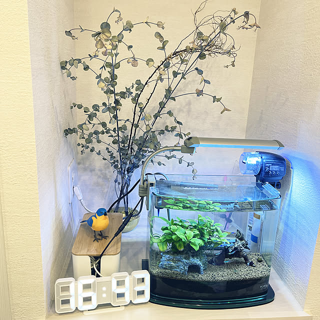 水槽のある部屋/リノベーション/ホワイトインテリア/観葉植物のある暮らし/電子時計...などのインテリア実例 - 2022-06-16 16:45:22