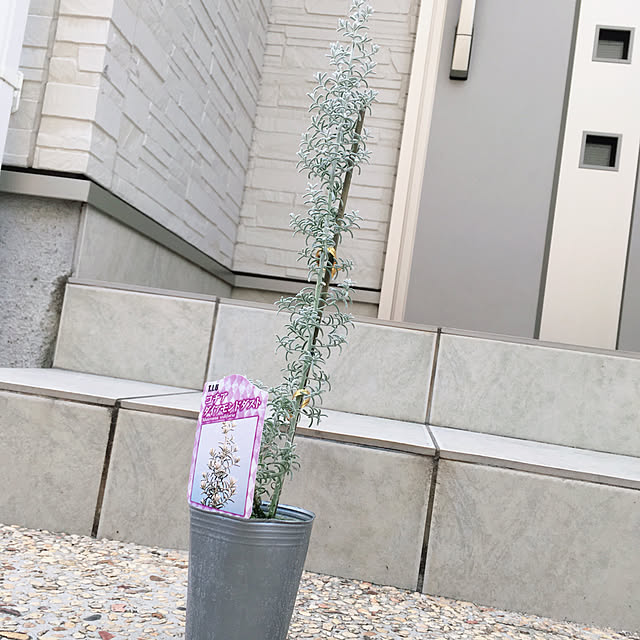 saradanaさんの実例写真