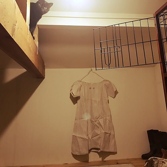neko-2.2.2runmuさんの実例写真