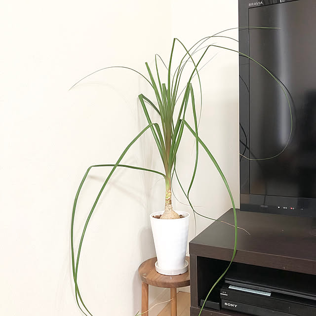 azureさんの実例写真