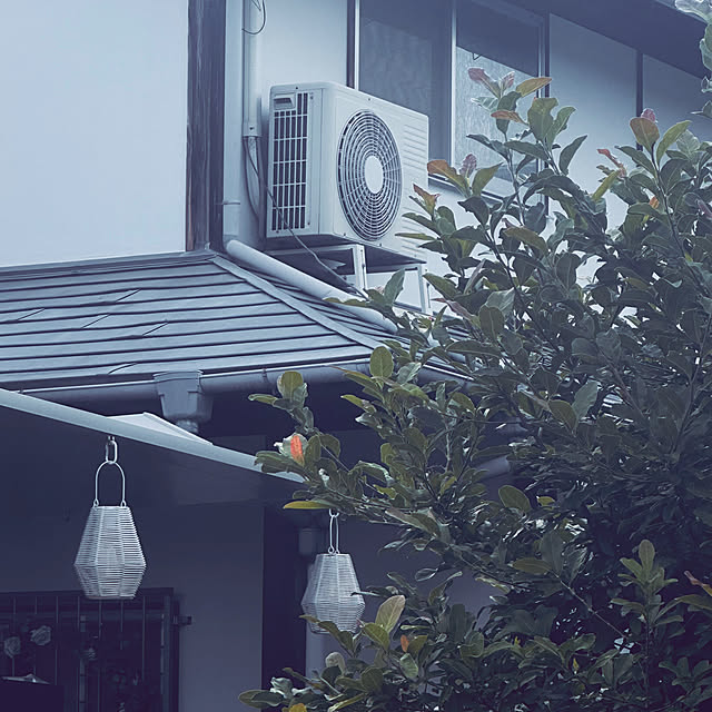 chacoさんの部屋