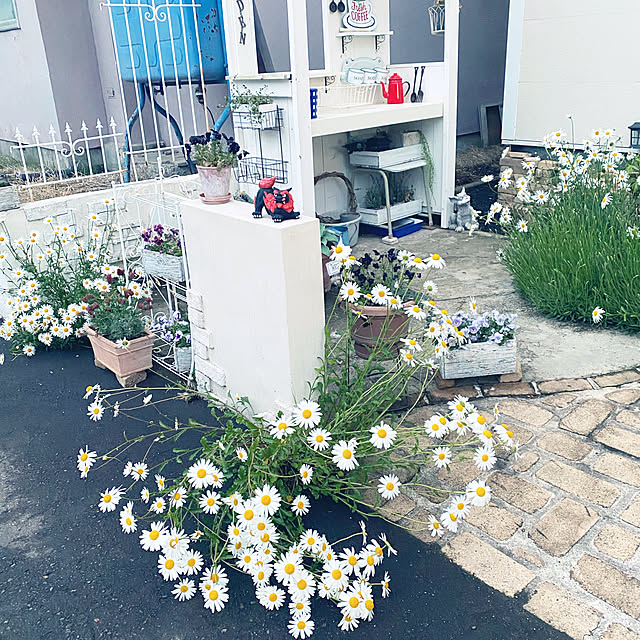 jamさんの実例写真