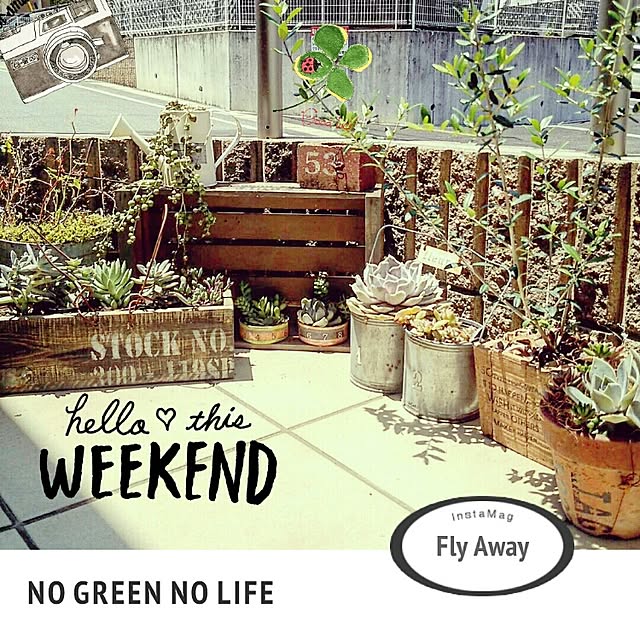 greencafeさんの実例写真