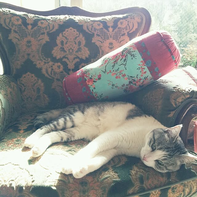 emmyyさんの実例写真