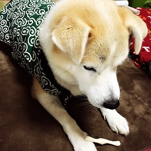 masu...さんの実例写真