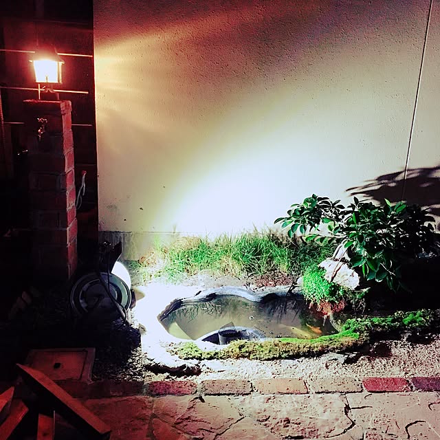 liryさんの実例写真